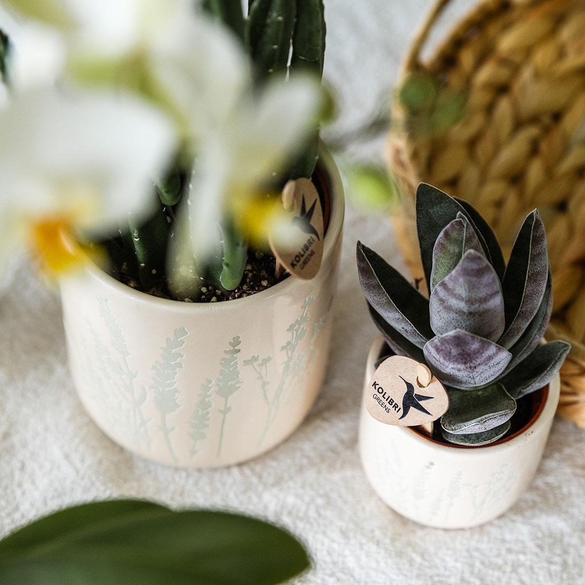 Kolibri Home | Floral bloempot - Light Blue - 9cm