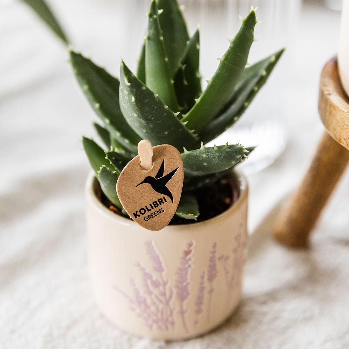 Kolibri Home | Floral bloempot - Lavendel - 6cm