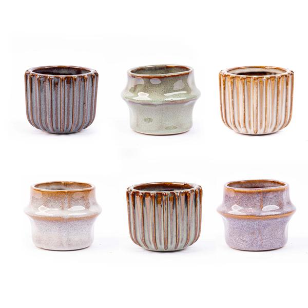 Mini Planten Set – 6 Stuks – Inclusief Potten Set ‘Barcelona’ – Vers van de Kweker