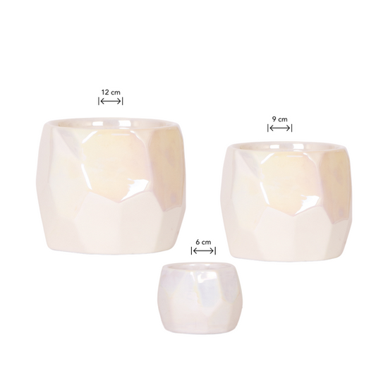 Mural Home| Combi deal - Pearl travertine potten